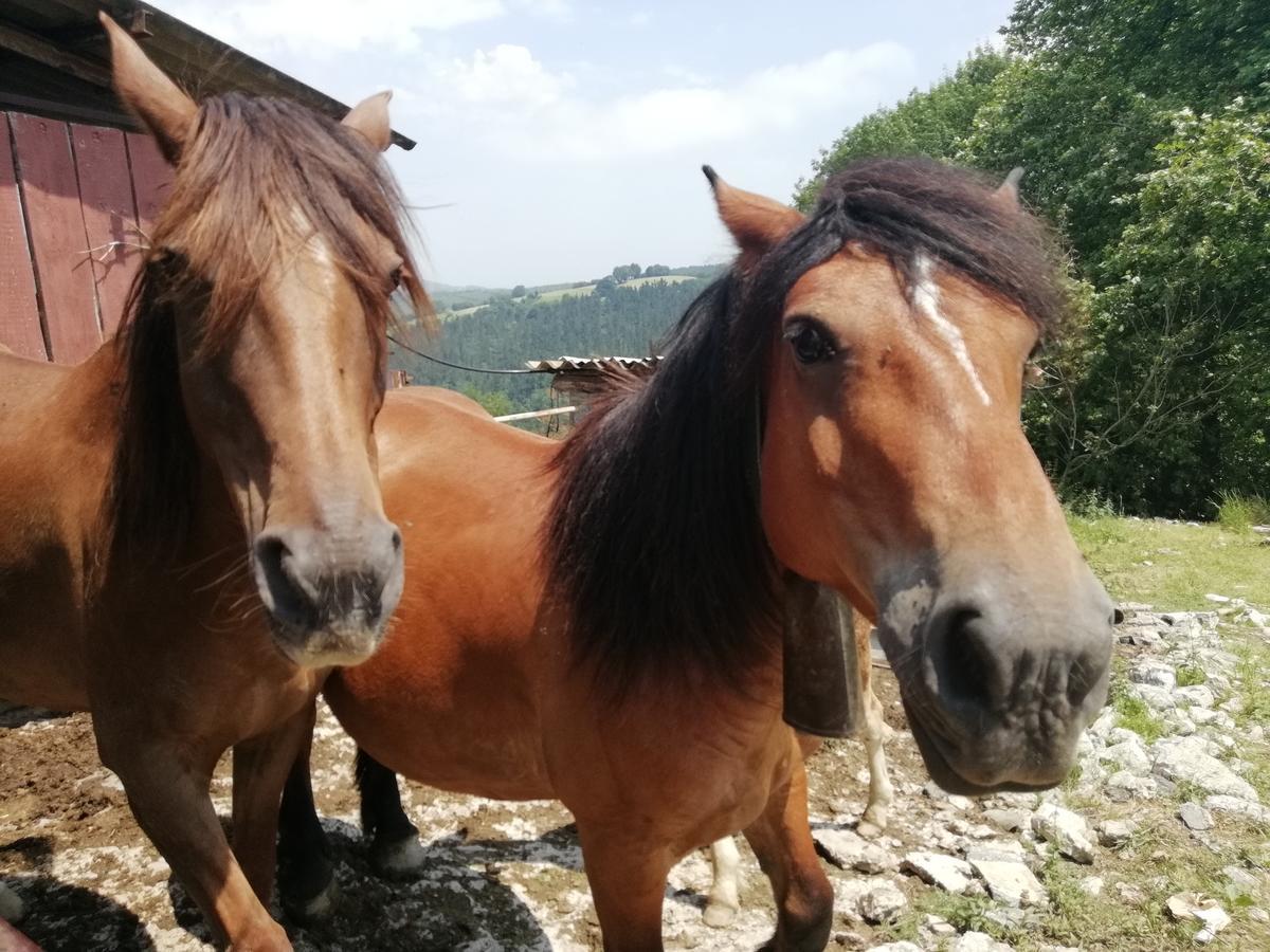אוריו Agroturismo Pagoederraga מראה חיצוני תמונה