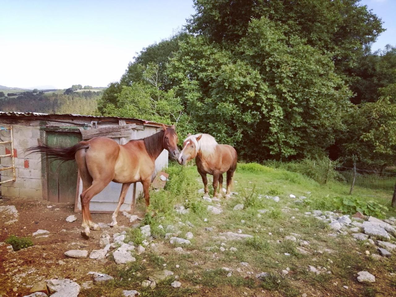 אוריו Agroturismo Pagoederraga מראה חיצוני תמונה