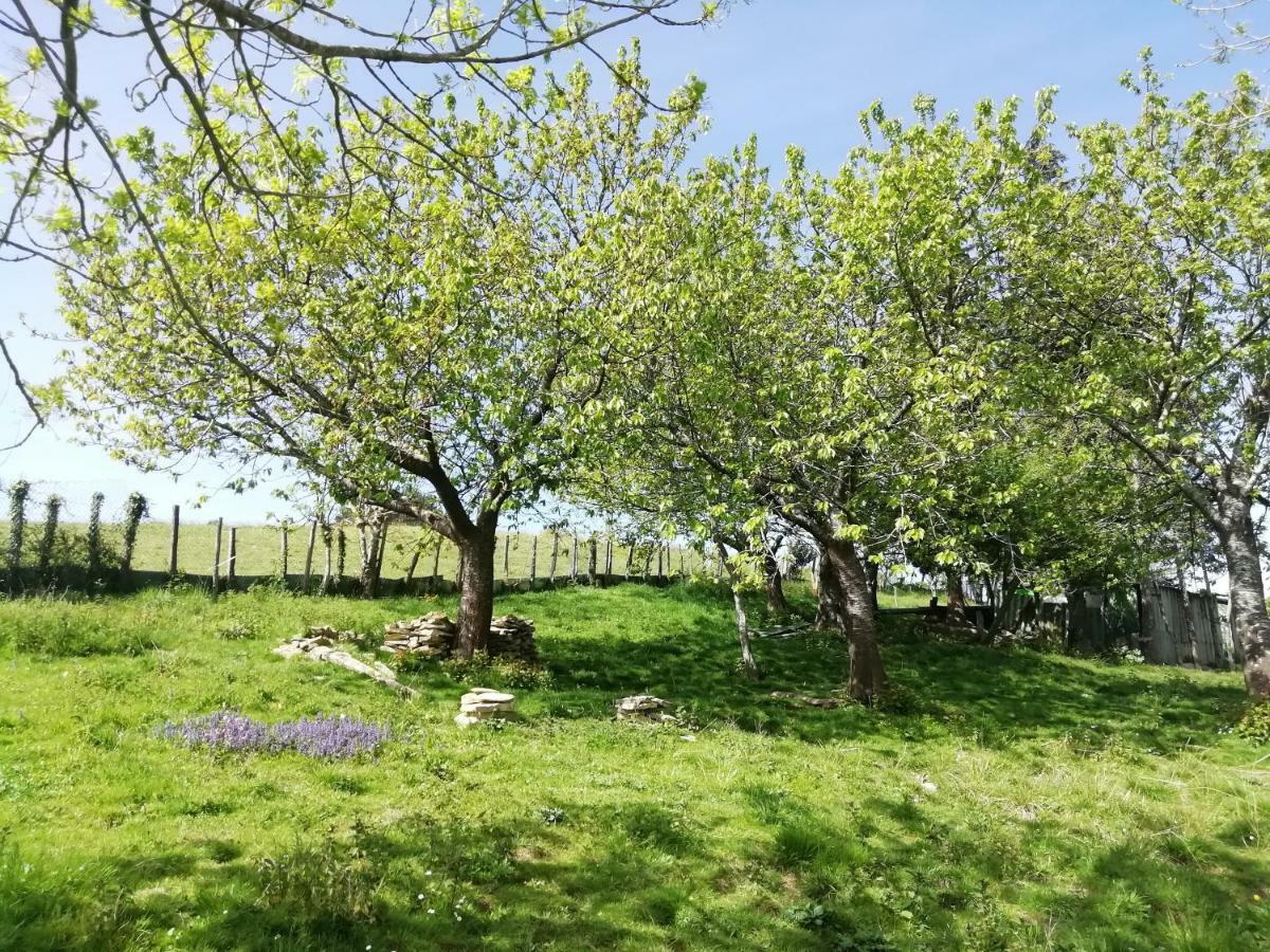 אוריו Agroturismo Pagoederraga מראה חיצוני תמונה